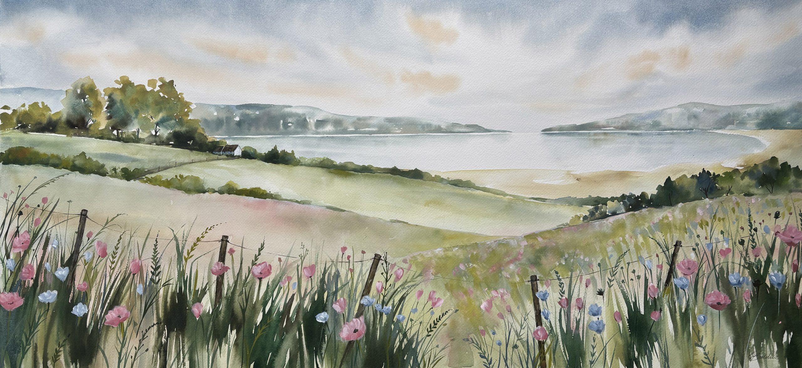 An expansive, horizontal watercolour landscape painting viewing a wide lake and headlands from a hilly meadow. In the immediate foreground, detailed wild grasses, pink poppies, and pale blue cornflowers grow along a rusty barbed wire fence with dark posts. Beyond the fence, rolling, soft green and ochre fields with scattered trees lead down to a large body of calm water. A small white cottage sits near a cluster of green trees on the far left. On the distant shore, rolling hills covered in a soft wash of green foliage outline the horizon. The sky is filled with swirling, pale grey, blue, and faint apricot-orange clouds. The entire scene has the soft, blended edges and fluid quality typical of watercolour painting.