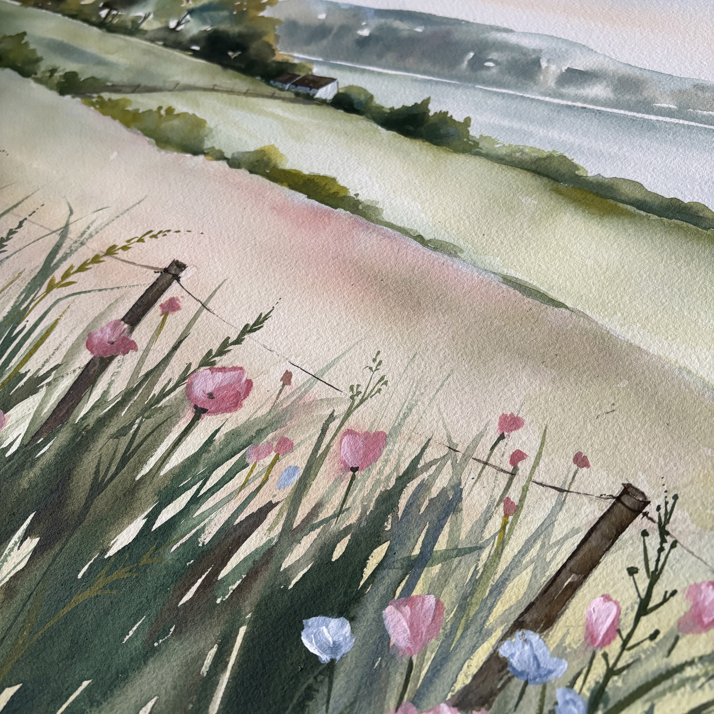 Close up detail from a watercolour painting showing wild grasses, pink poppies, and pale blue cornflowers growing along a rusty barbed wire fence with dark posts. Beyond the fence, rolling, soft green and ochre fields with scattered trees lead down to a large body of calm water. A small white cottage sits near a cluster of green trees